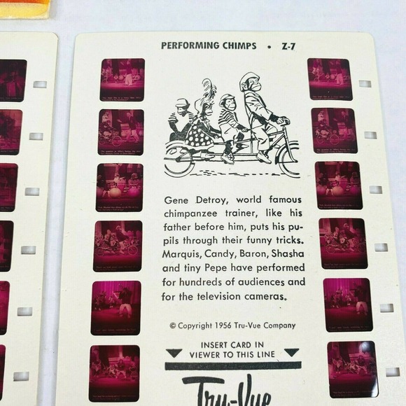 VTG Tru Vue Film 3 Cards Performing Animals ZA-1 - Picture 4 of 5